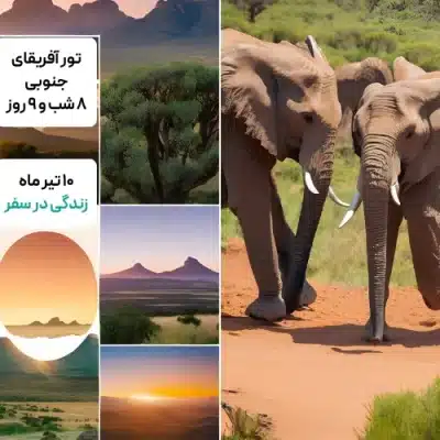 تور آفریقای جنوبی | 8 شب و 9 روز | ویژه رفت 10 تیر ماه