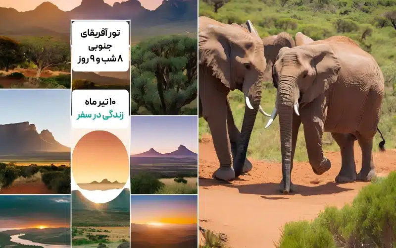 تور آفریقای جنوبی | 8 شب و 9 روز | ویژه رفت 10 تیر ماه